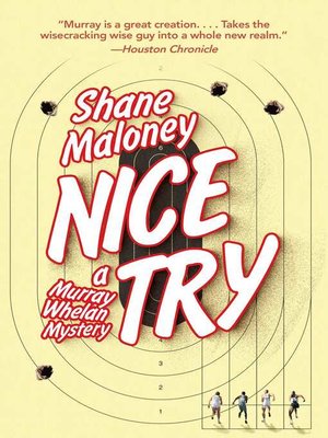 cover image of Nice Try